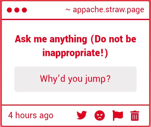 Appachegum_3 tweet media