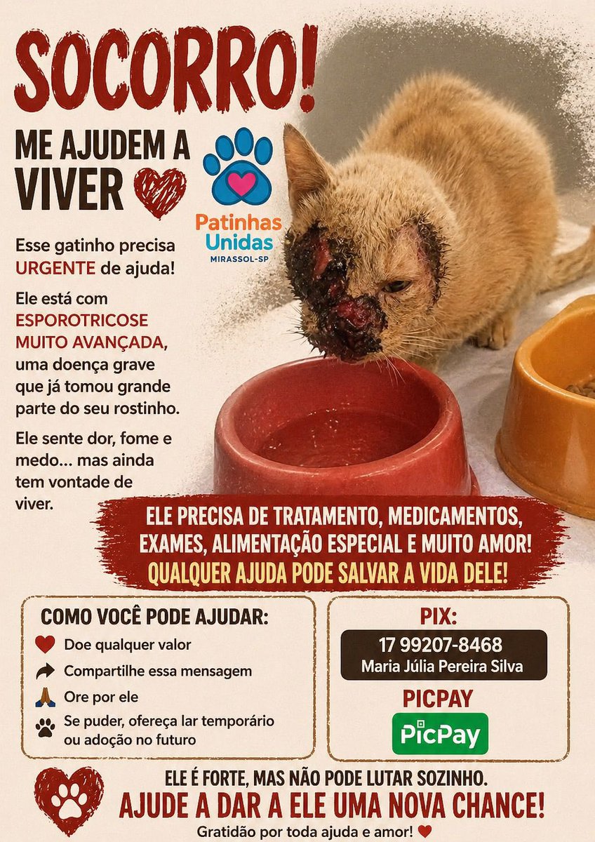 fuferrari's tweet image. Se alguém puder ajudar, é de uma conhecida, ela tem vários gatos que resgata. #gato #animais #ajuda #doe #doacao #socorro #gatos #resgatados