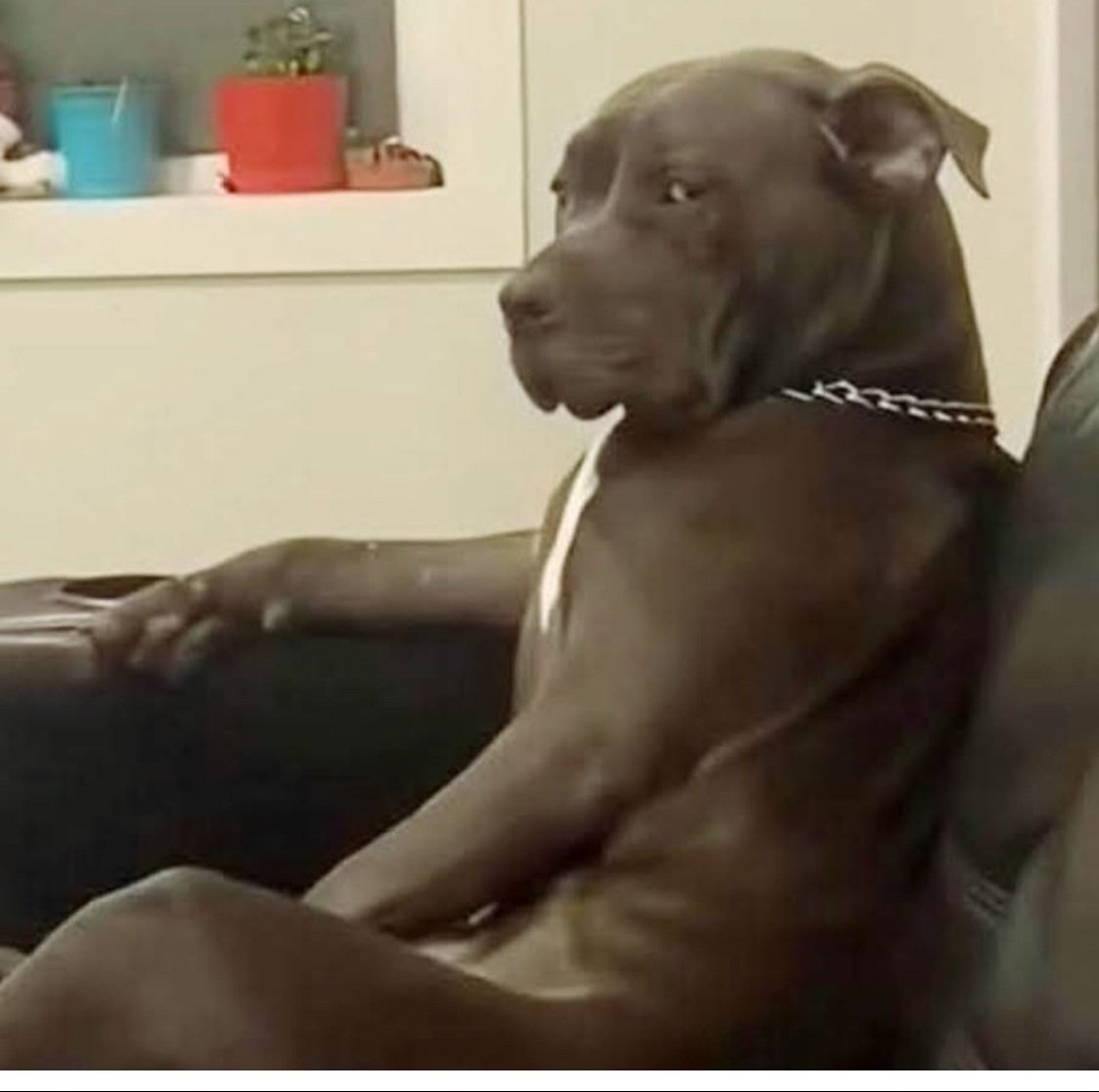 TERRENCE tweet media