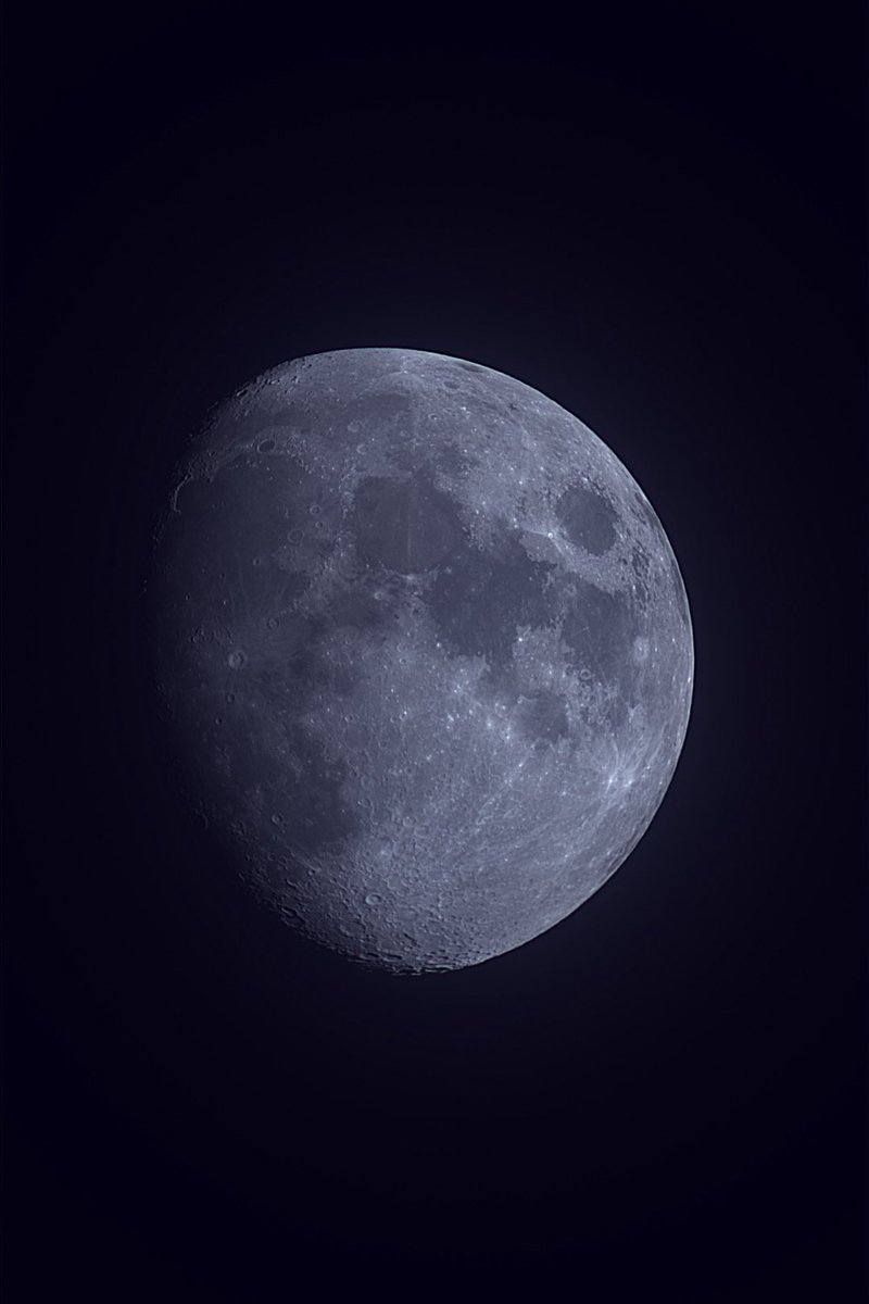 Rad van Mad tweet media