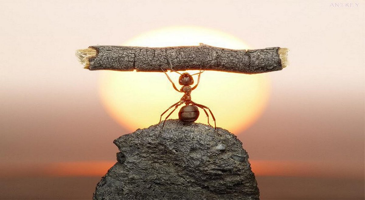 TheTwinPowers's tweet image. If you don’t' give what you are doing 100% then why are you doing it?

.
#GoForIt 
#dedicated #focused 
#justdoit #Motivation 
@JETAR9