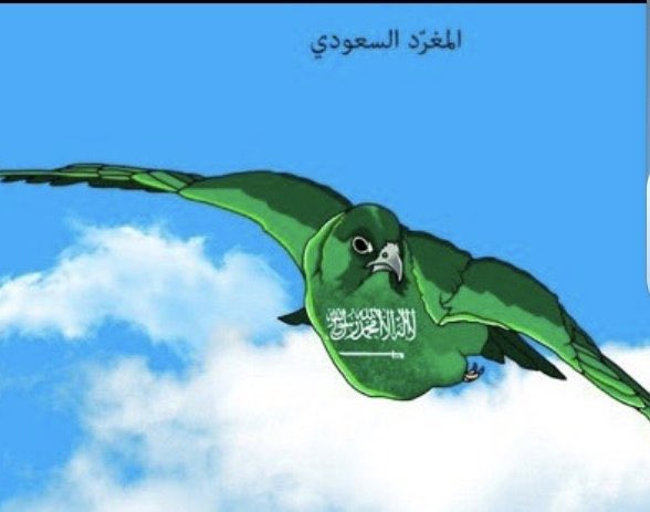 نوال الغامدي ⚔️🇸🇦🌴 tweet media