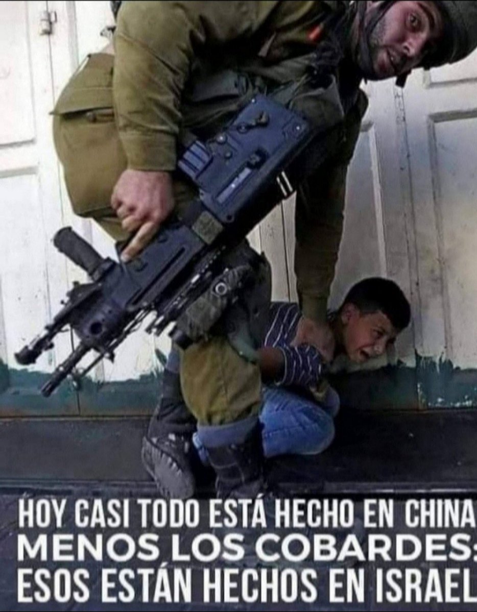 El zorro tweet media