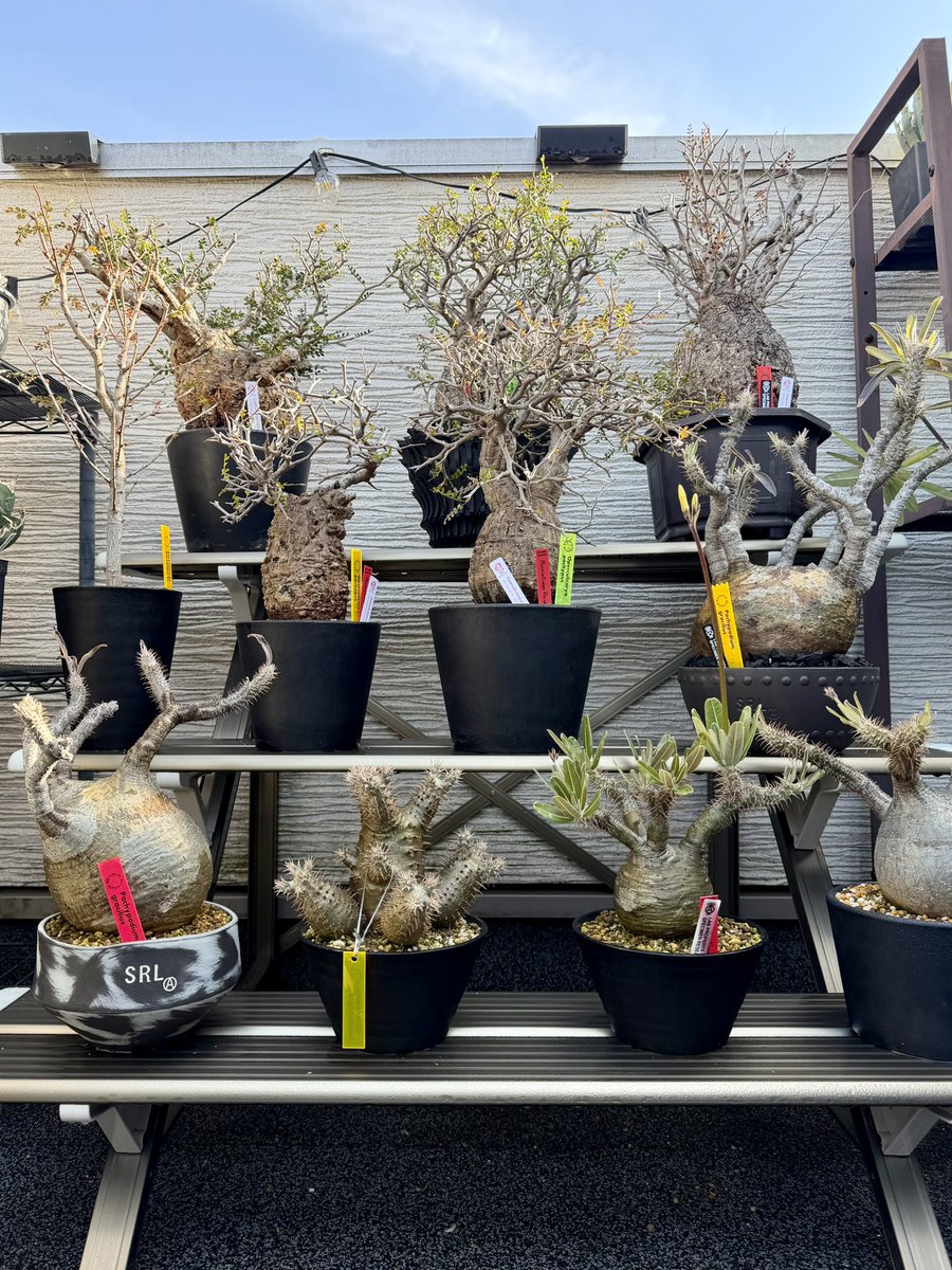 mayumini_0's tweet image. おはようございます⊂( ᴖ ̫ᴖ )⊃
気持ちの良い朝
今日は在宅ワーク…1日頑張れば
ゴールデンウィークです🤩