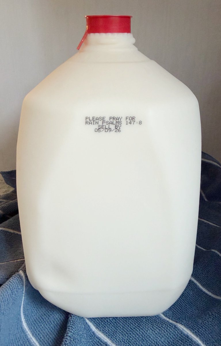 Melissa the Hopeful🏠Homemaker tweet media