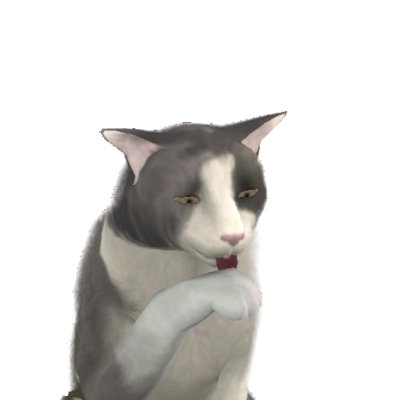 soggy cat tweet media