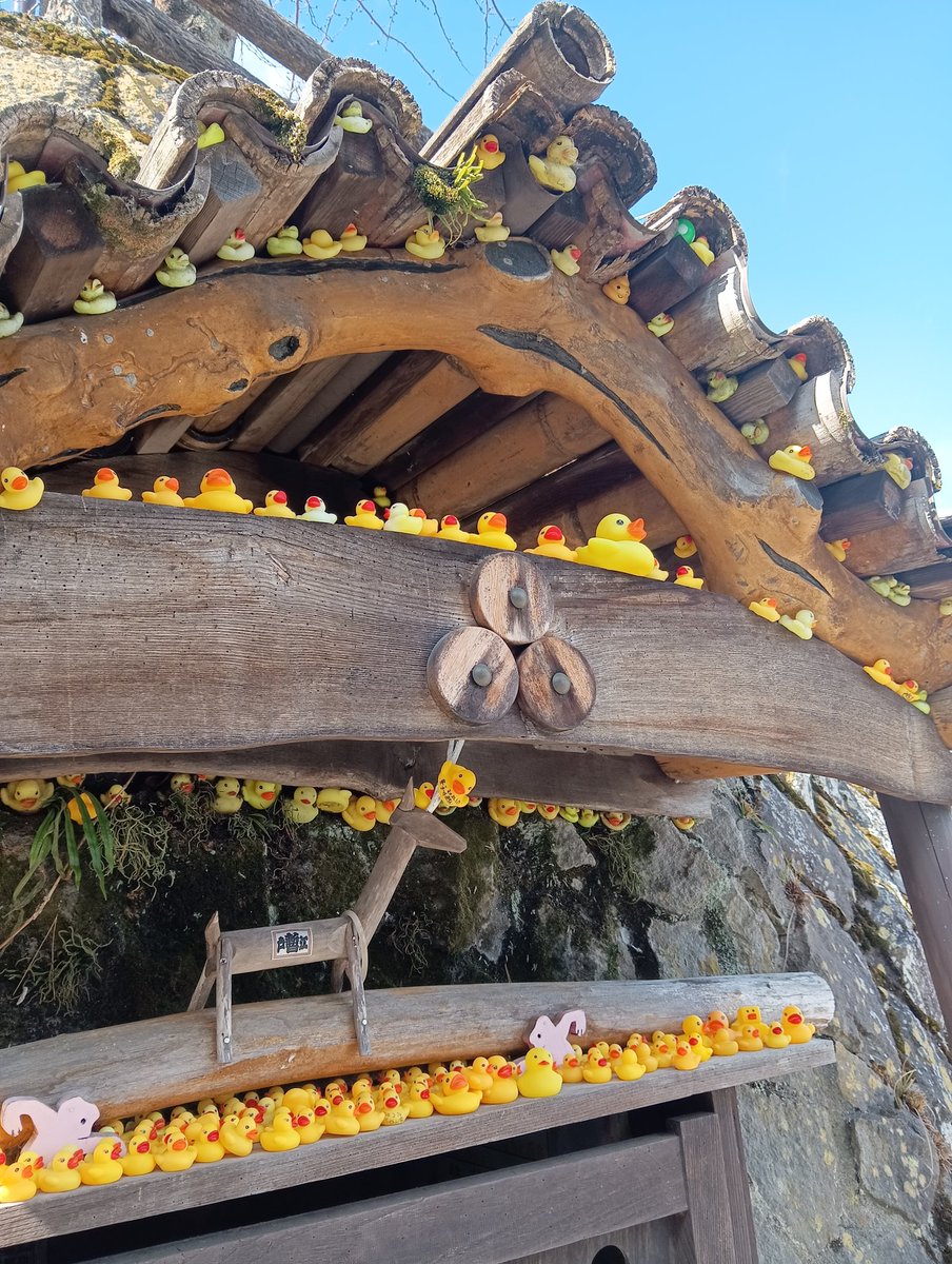 orangecat364's tweet photo. 渋川市の伊香保神社の御朱印です🤠

平安時代の『延喜式神明帳』に記載され上野国三宮に数えられる格式ある古社で石段街の最上段に位置します⛩️✨

石段街は長篠の合戦で負傷した将兵のために武田勝頼が配下の真田昌幸らに命じ、湯本から源泉を引き湯治の療養所として整備したのが始まりと言われます😃 https://t.co/VwatzCpFmd