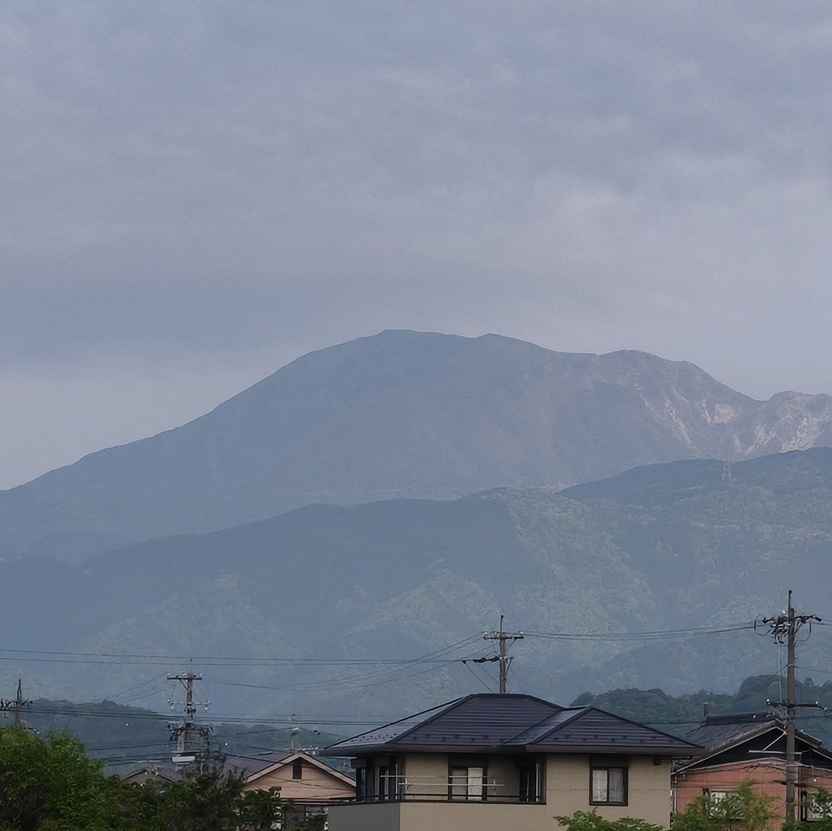 美濃のQ tweet media