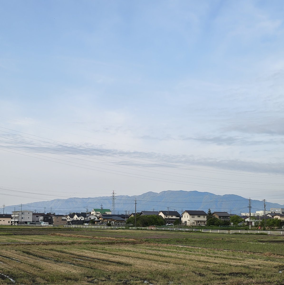 美濃のQ tweet media