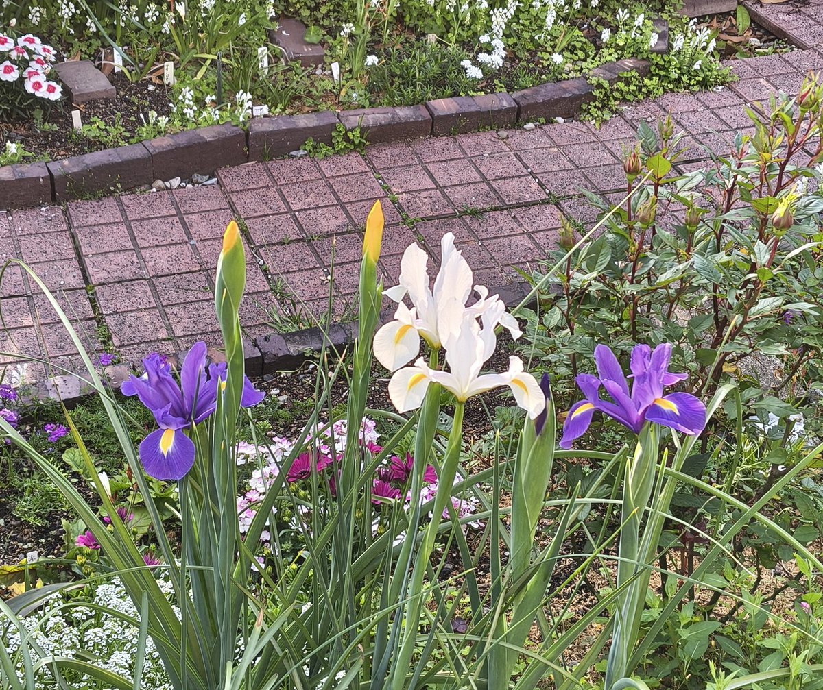 美濃のQ tweet media