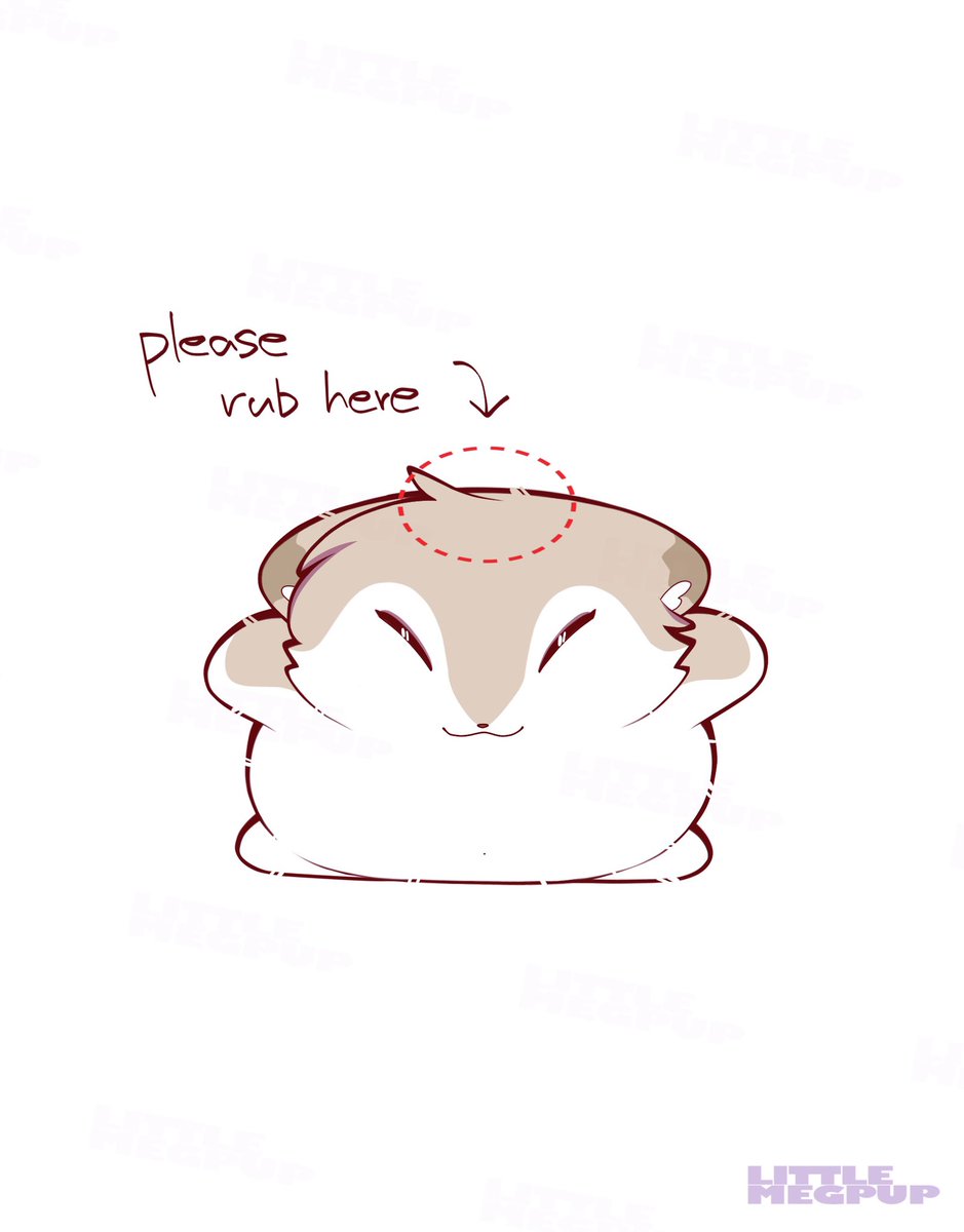 Little Meg tweet media