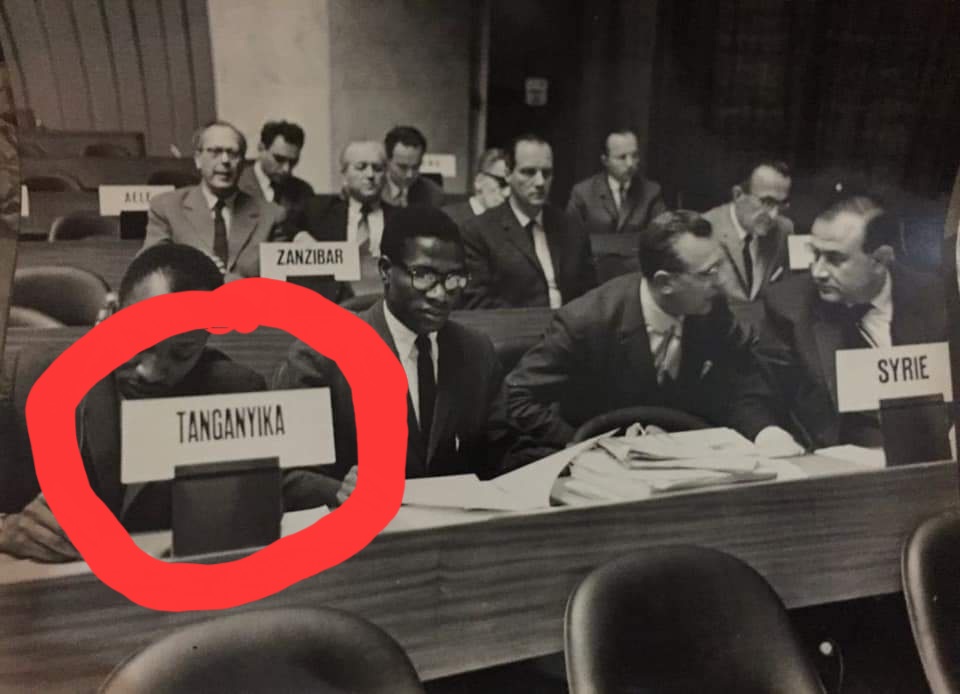 Floki2366251's tweet image. Stand up like Tanganyikan People, recognize ur Nationality and ur flag, don't be ignorant, where did you see the country having two Names, Tanzania and Tanganyika?

No one in Zanzibar want three Government or Union with Tanganyika!

#socialjustice
#crackdown
#Zanzibar 🚨

+259 🤗