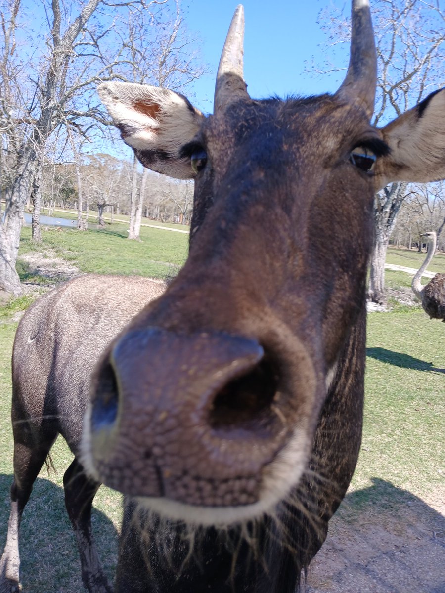 #1 Stolas Hater 🔞 tweet media