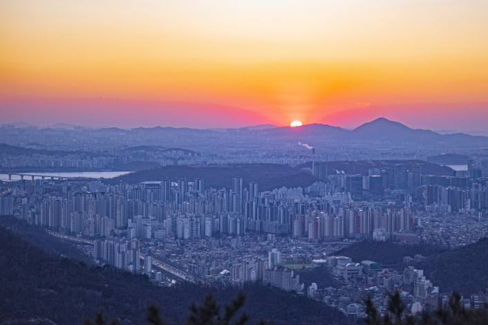 오로라 tweet media