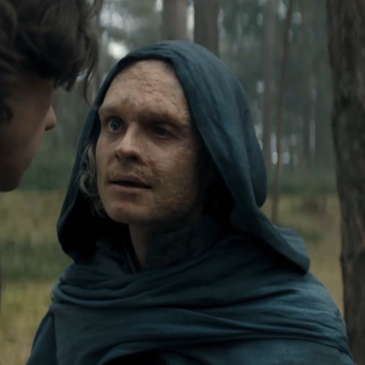 aeghead 🐟 tweet media