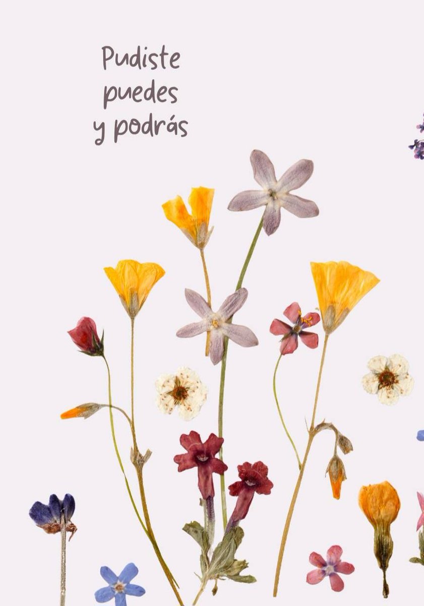 La oveja negra tweet media