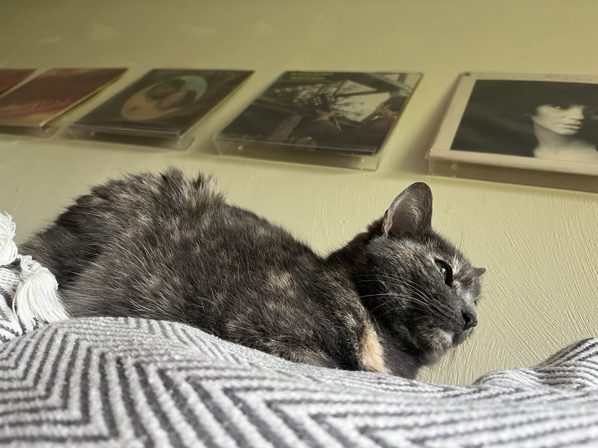 🦇 Amanda Burroughs tweet media