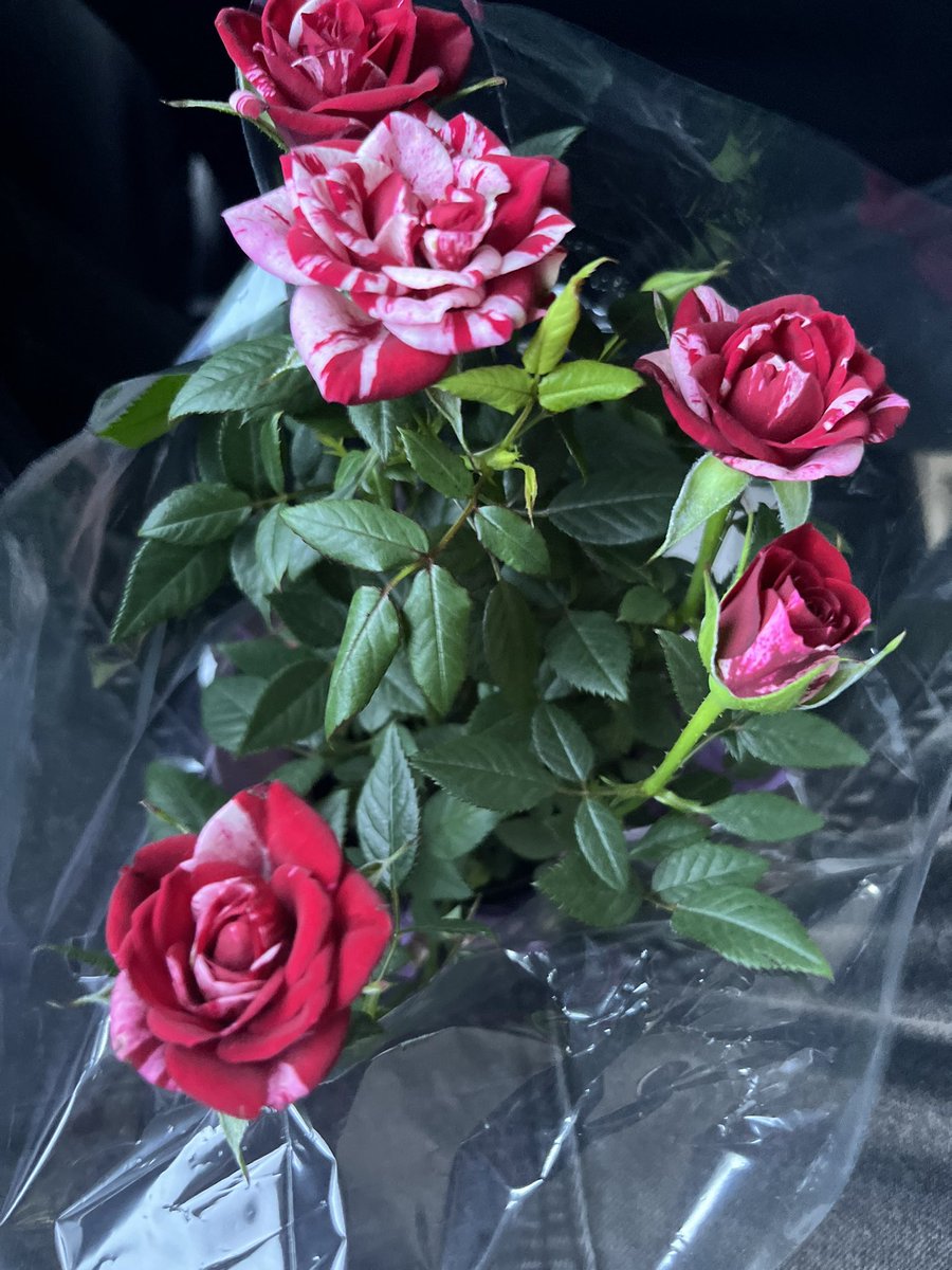 Just Jrdan tweet media