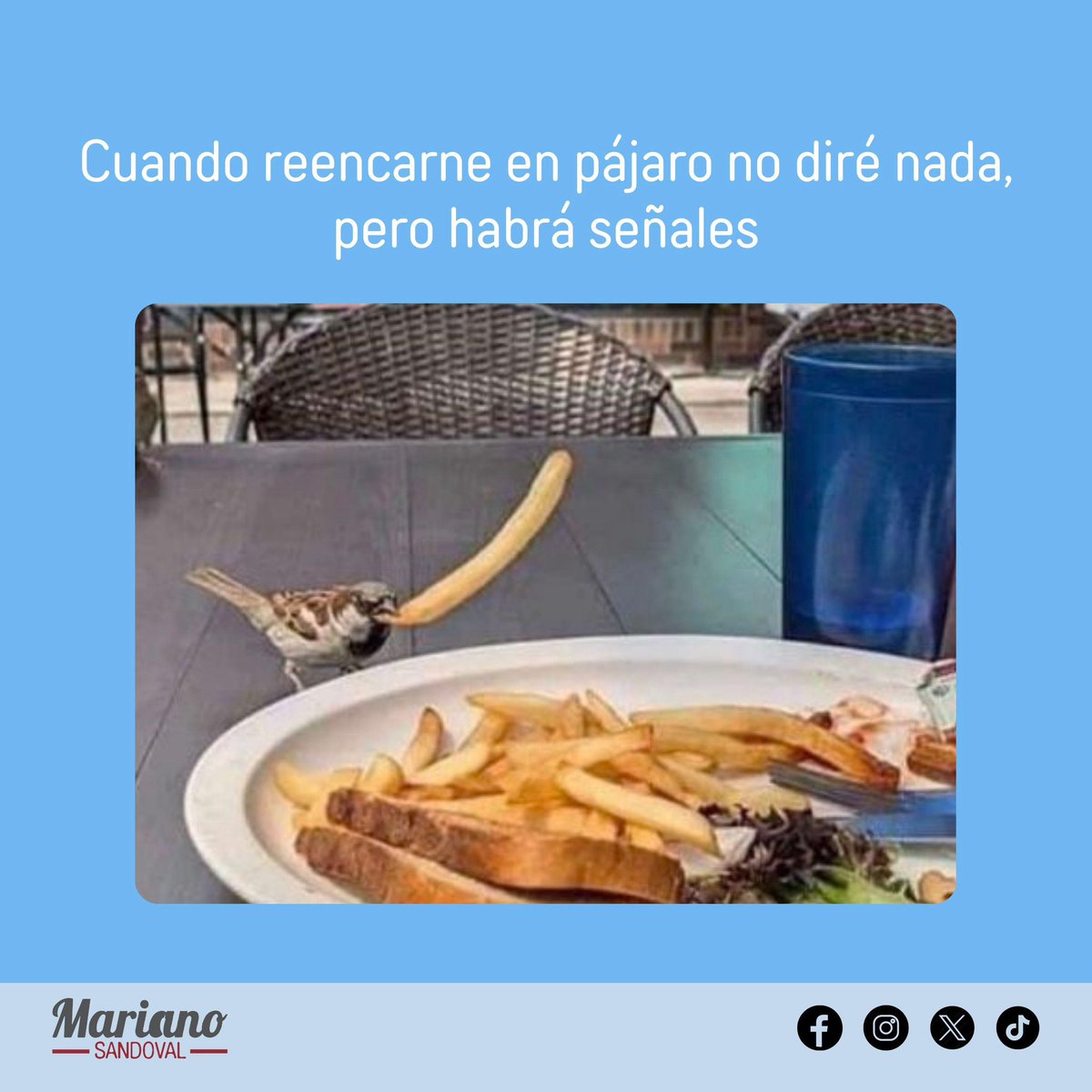 Mariano Sandoval tweet media