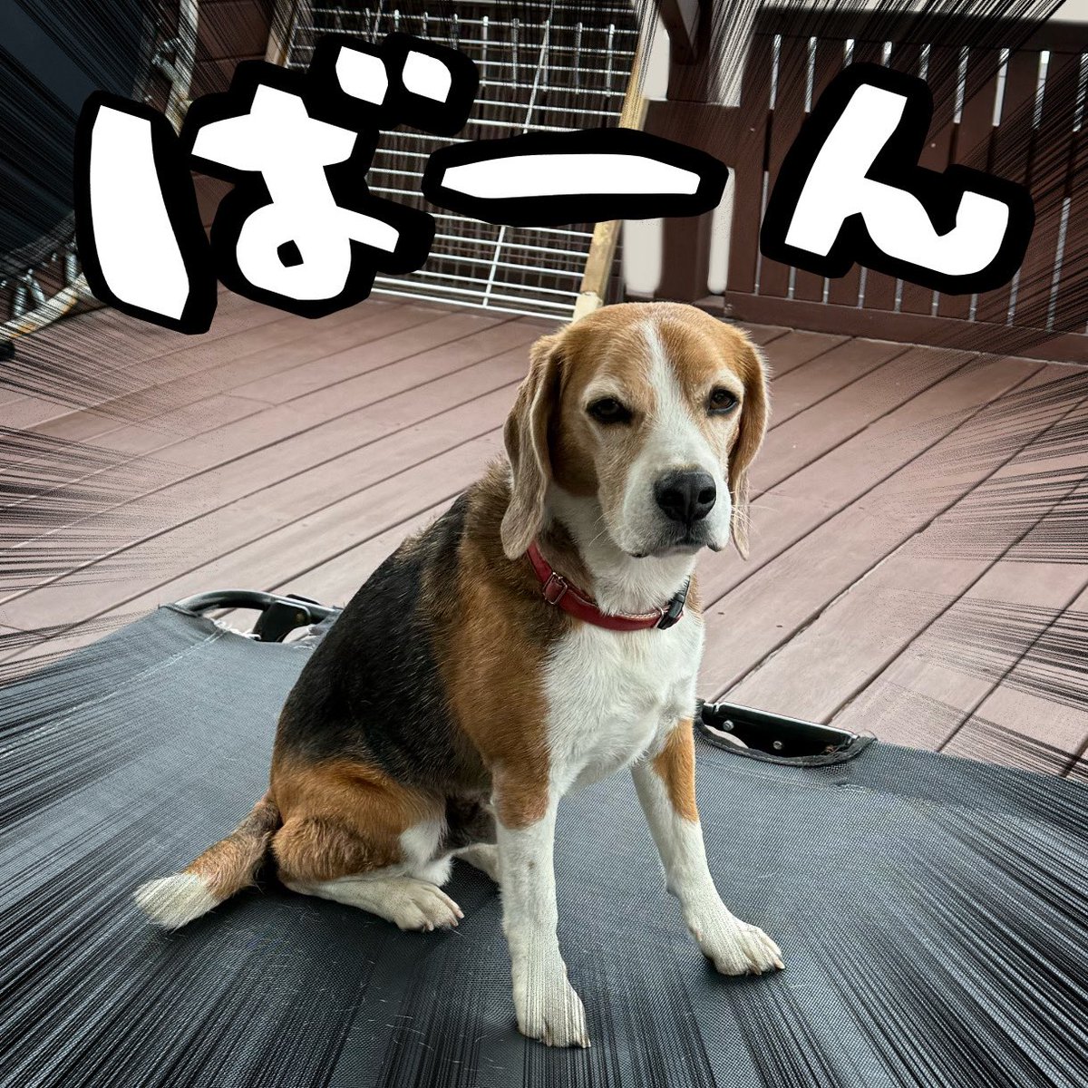 スティーヴン★スピルハンバーグ tweet media