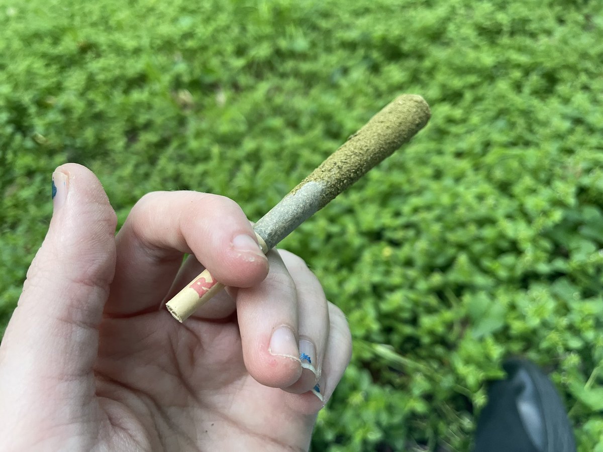 super stoner junkie chan tweet media