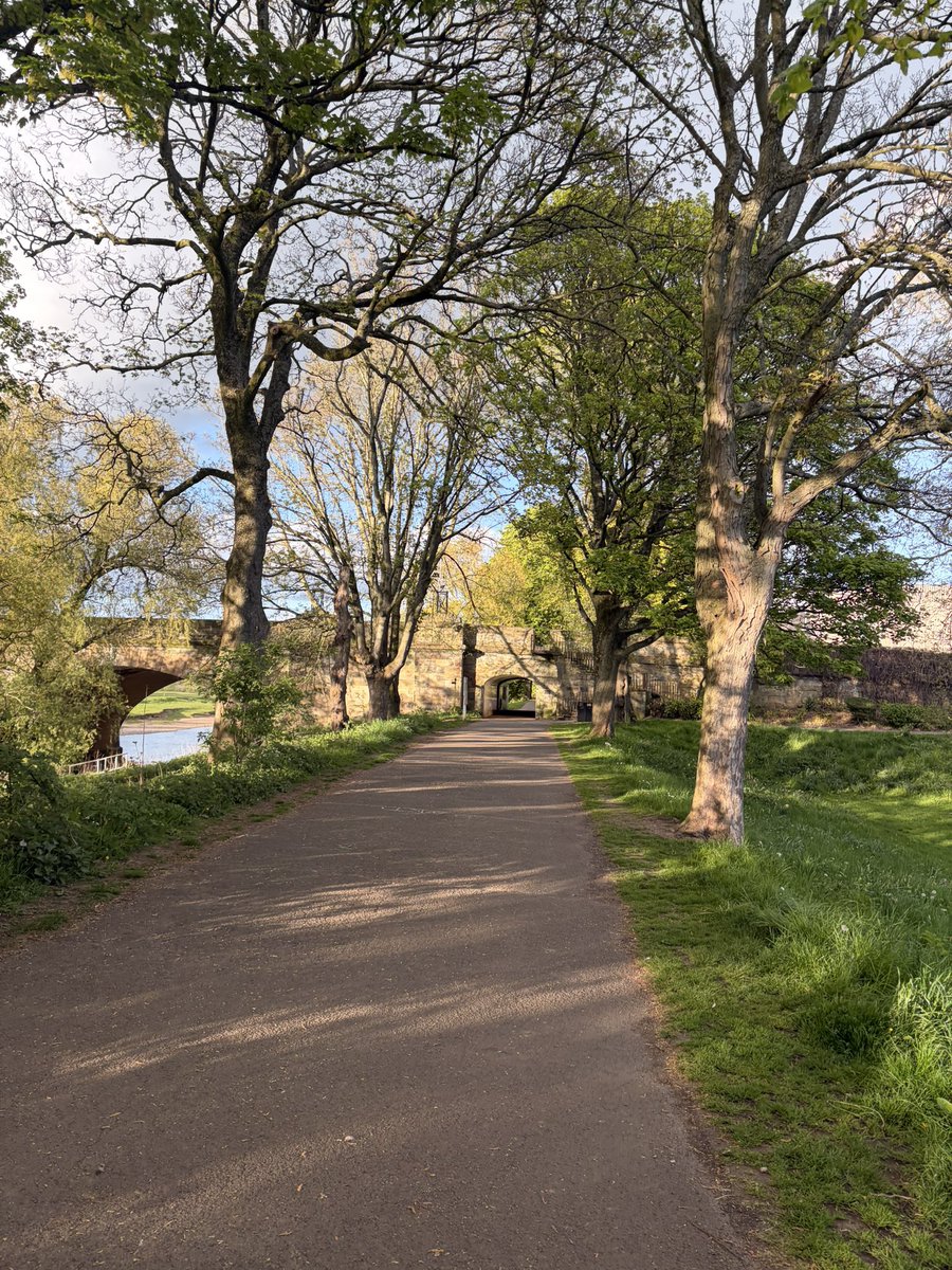 1Jawed's tweet image. Nothing beats a nice walk #walking 🚶‍♂️