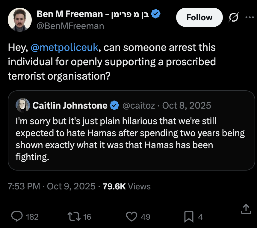 Caitlin Johnstone tweet media