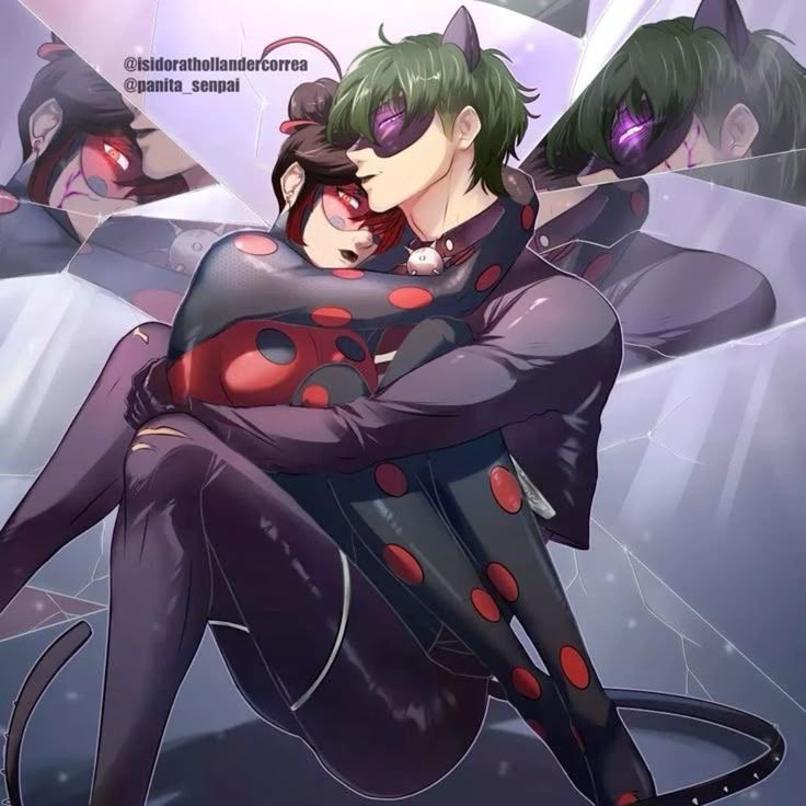 stella 𖤐 #1 shadybug defender tweet media