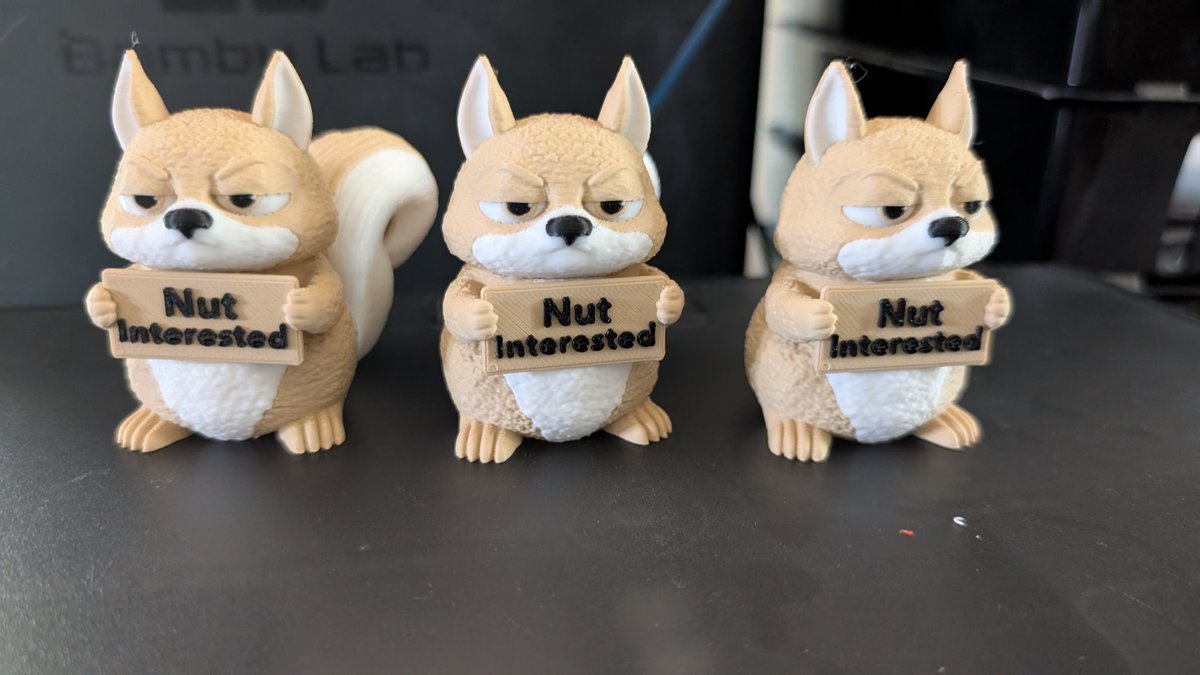 amdigitaltech's tweet photo. The grumpy squirrel army is starting to form! You can order yours from our website! What grumpy animal should we do next? #3dprinting #decor #squirrel https://t.co/Dz0yHmbRd3