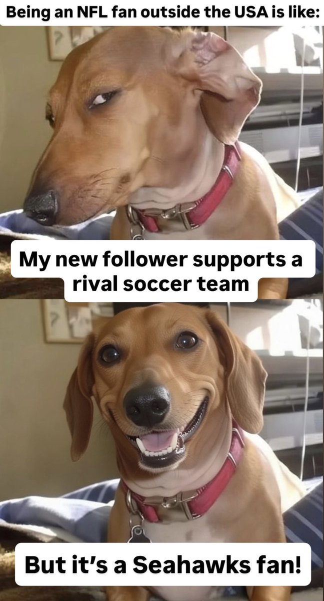 thathawksgirl's tweet image. Being an NFL fan outside the US is like
😂🤣💙💚 #seahawks #GoHawks