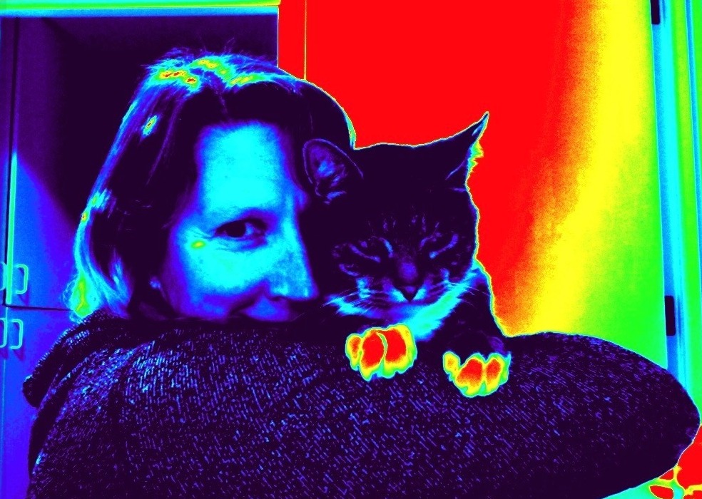 Krissy_MeowMom tweet media