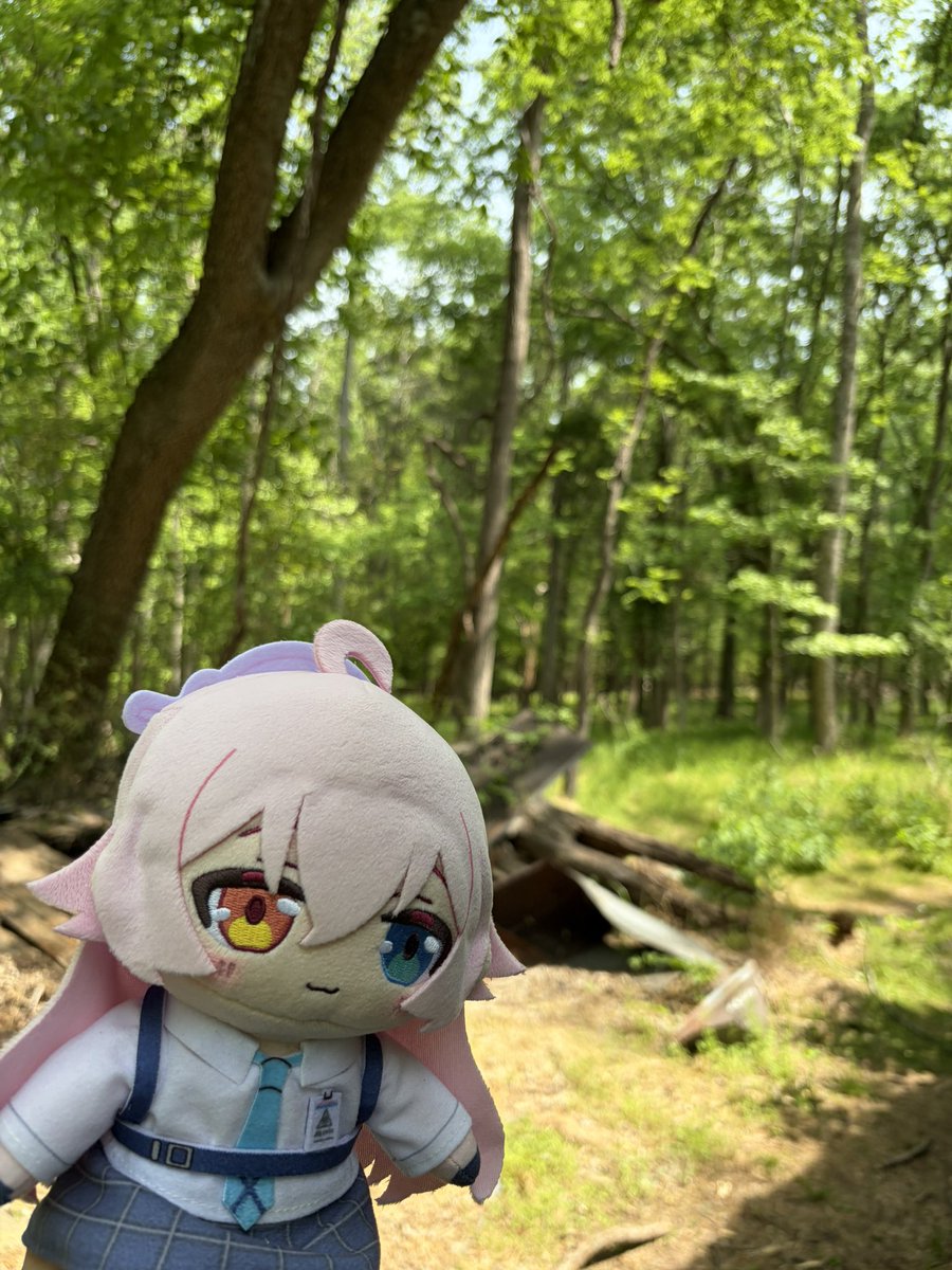 Hcp988ハっちゃん tweet media