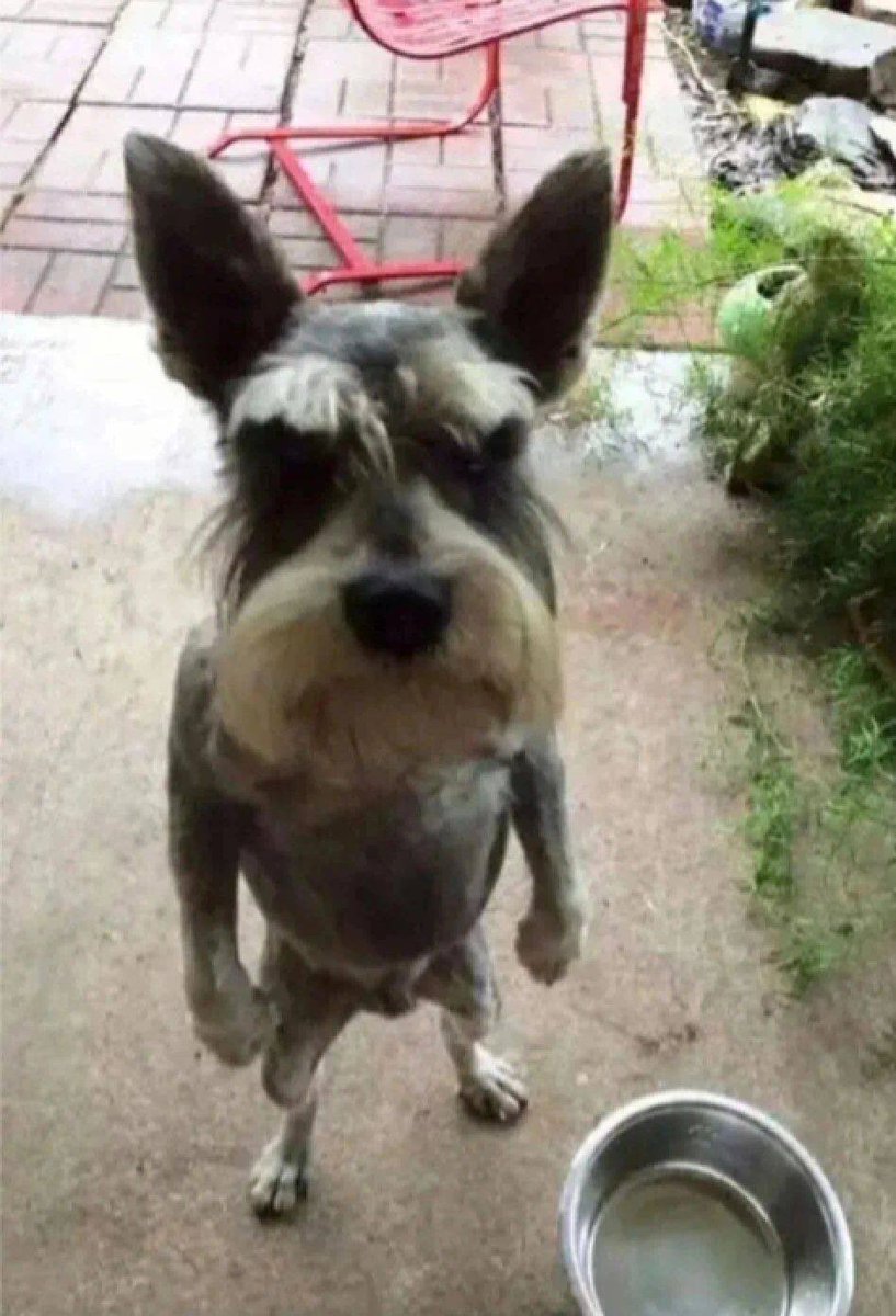 Bad Blue Archive Memes tweet media