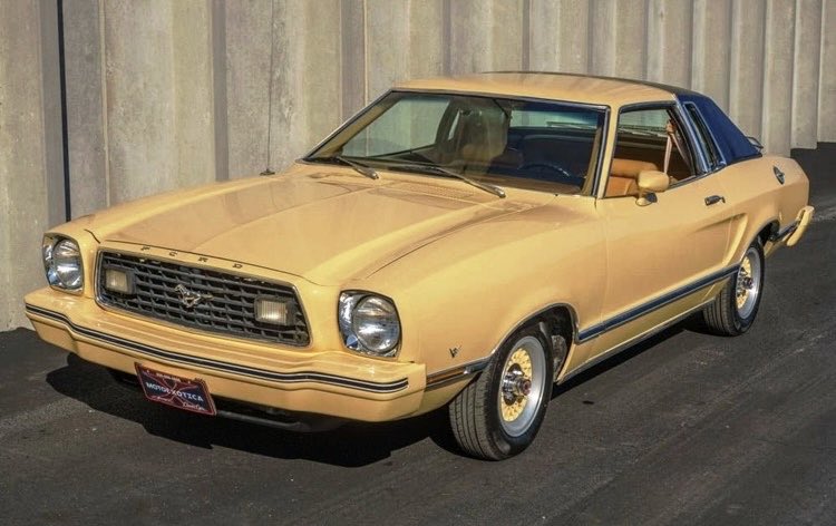 DCM 🐸 tweet media