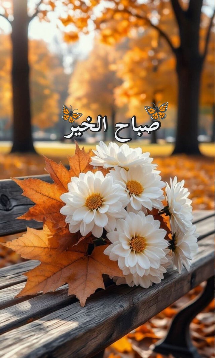 ⁦🇪🇬⁩⁦أثر عابره ✌️🕊️🌿🇪🇭 tweet media