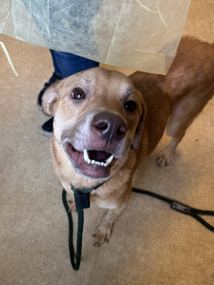 Pennsylvania SPCA tweet media