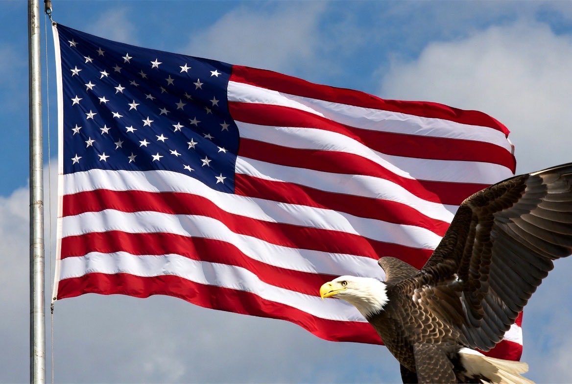 One Bad Dude tweet media