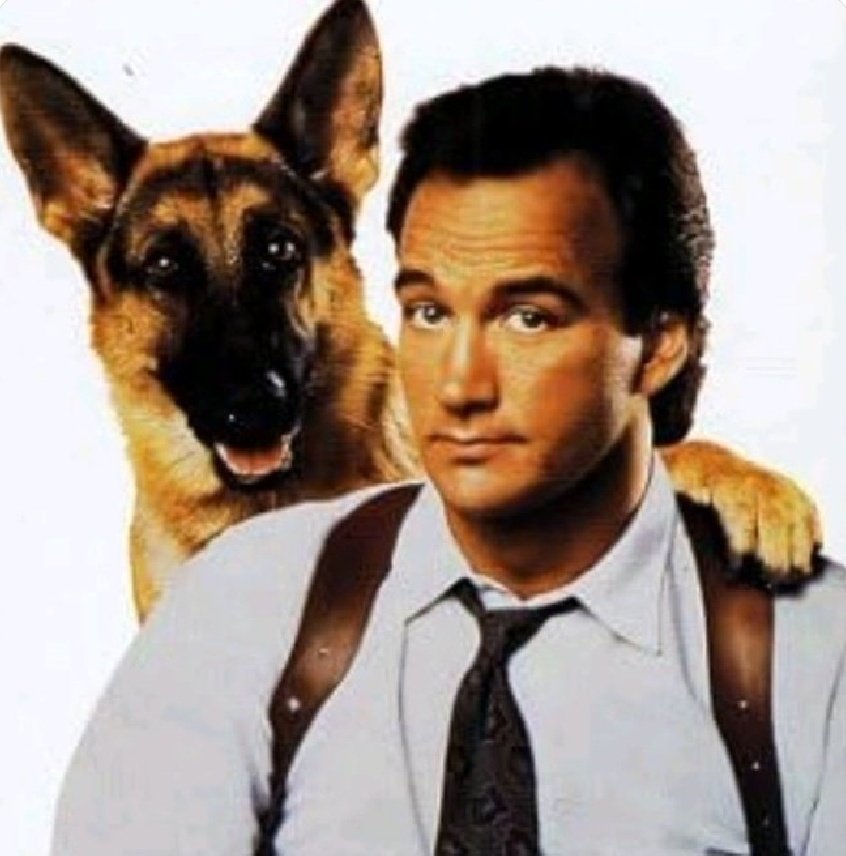 The Movie Professor 🎬🎥📺 tweet media