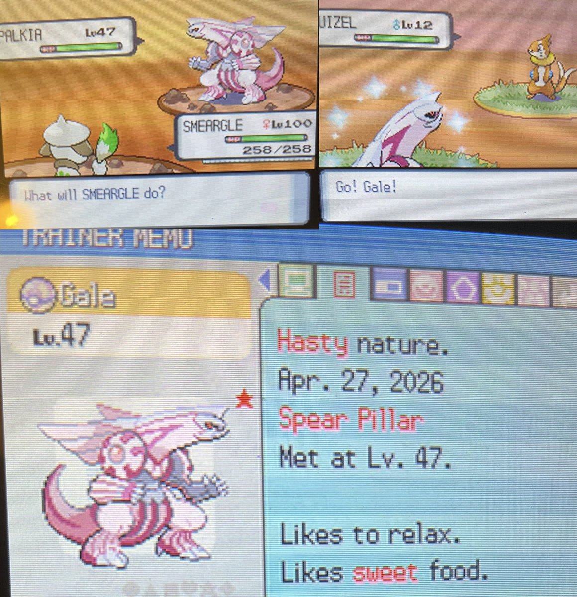 Lizred18's tweet image. Shiny Palkia after 5602 Resets #ShinyPokemon
