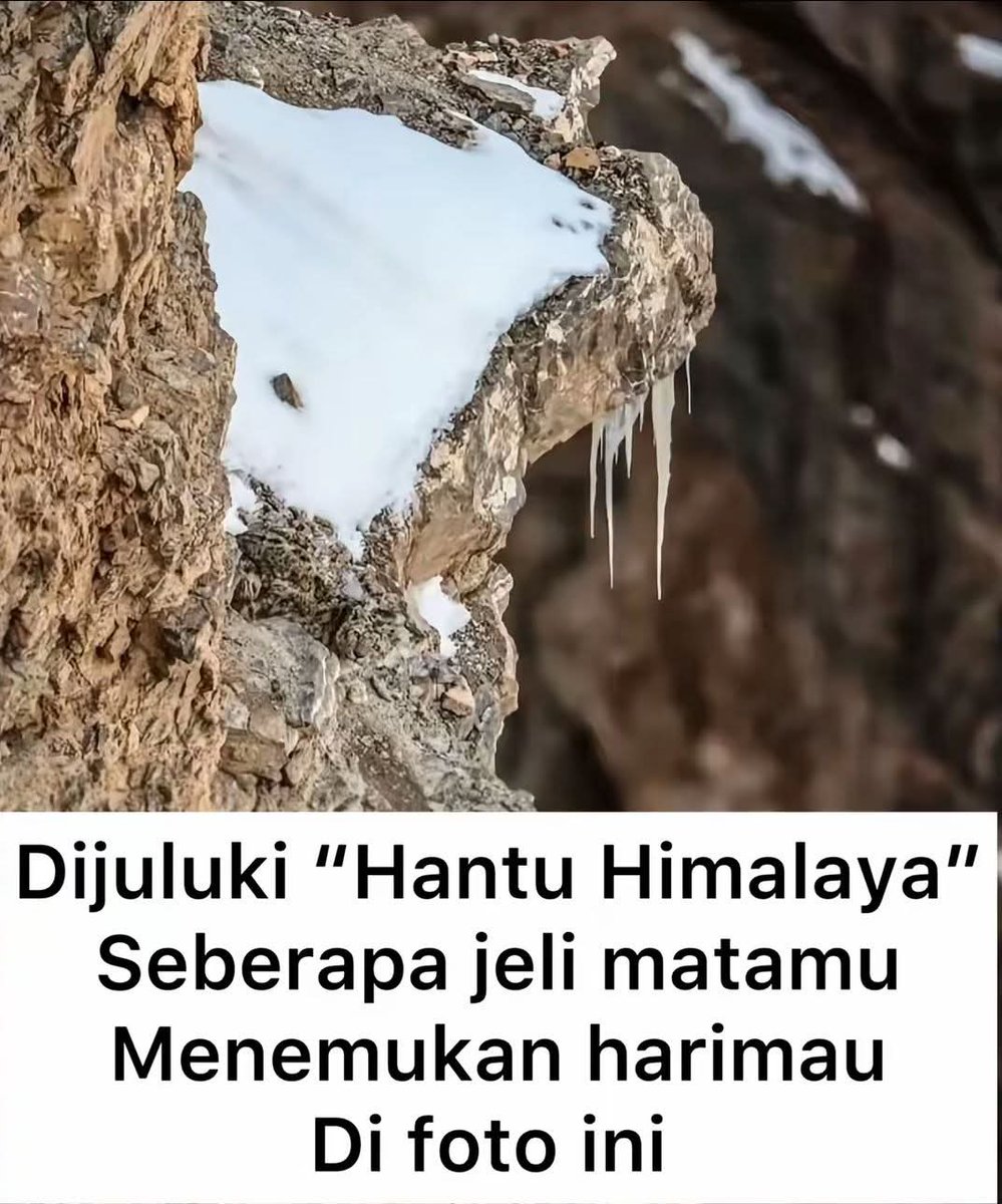 Ketawa itu GRATIS 🛩 tweet media