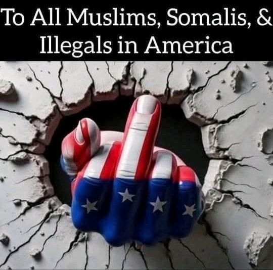 Mr. Star Spangled MAGA tweet media