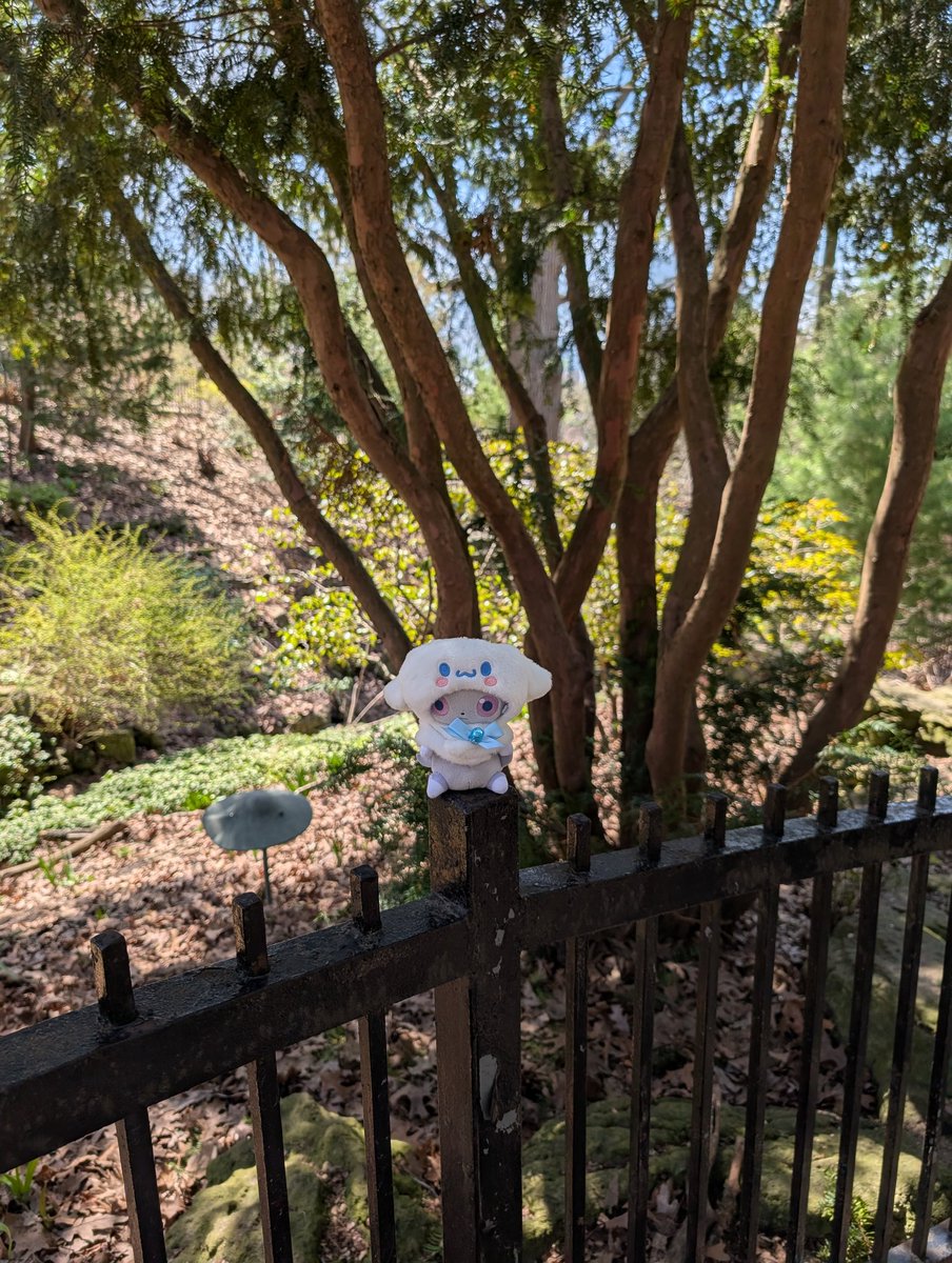 ぱくぱく tweet media