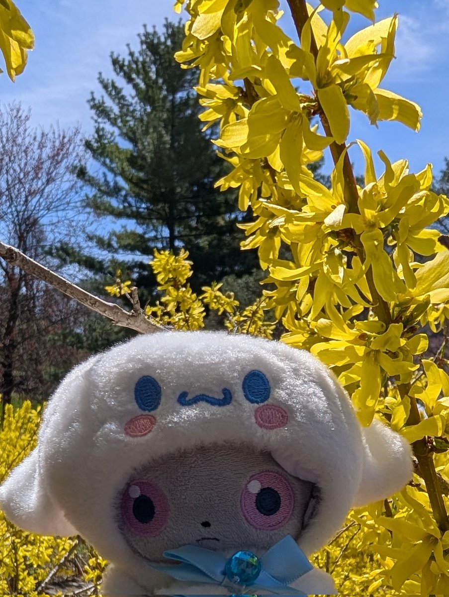 ぱくぱく tweet media