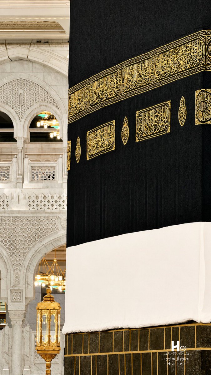 hajer. tweet media