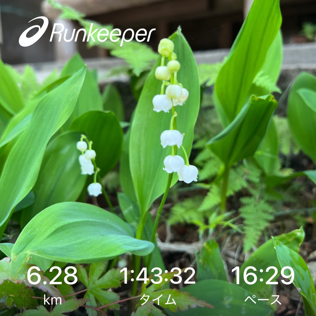 wilddclub97's tweet image. 空気はヒンヤリしていますが
暑いです

外国人観光客相変わらず多い

沢山花が咲いている
カエルもよく鳴いている
春だ🌸☘️

生きとし生けるものが幸せでありますように

#walking
#runkeeper
#garmin
#通勤散歩
#伏見稲荷