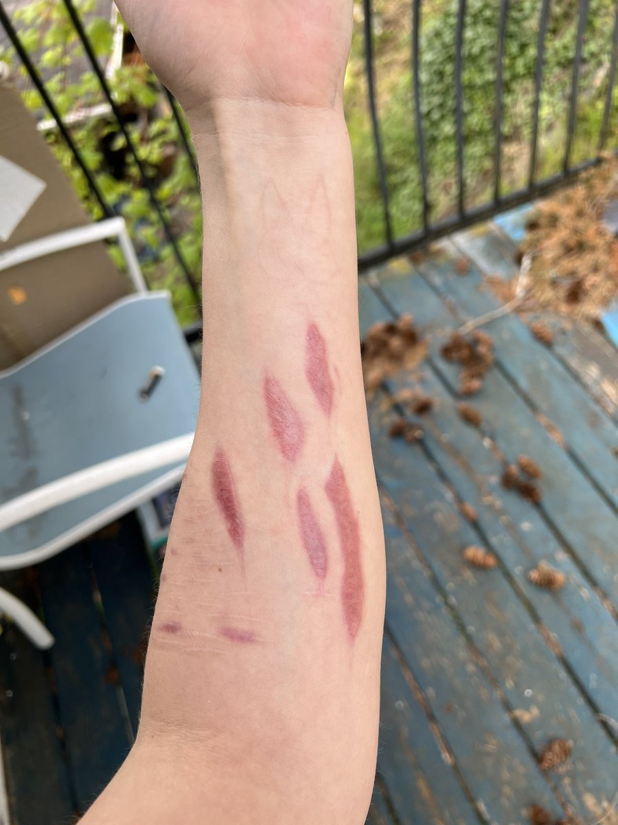 bunny luvr tweet media