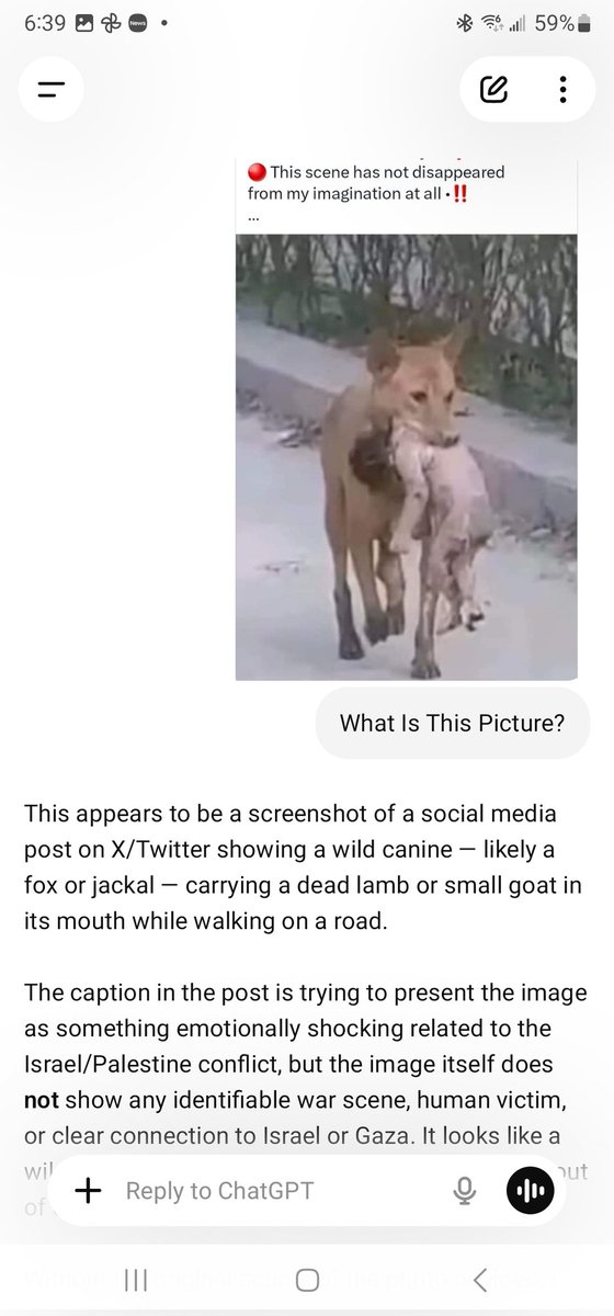 HonestSpeaker tweet media