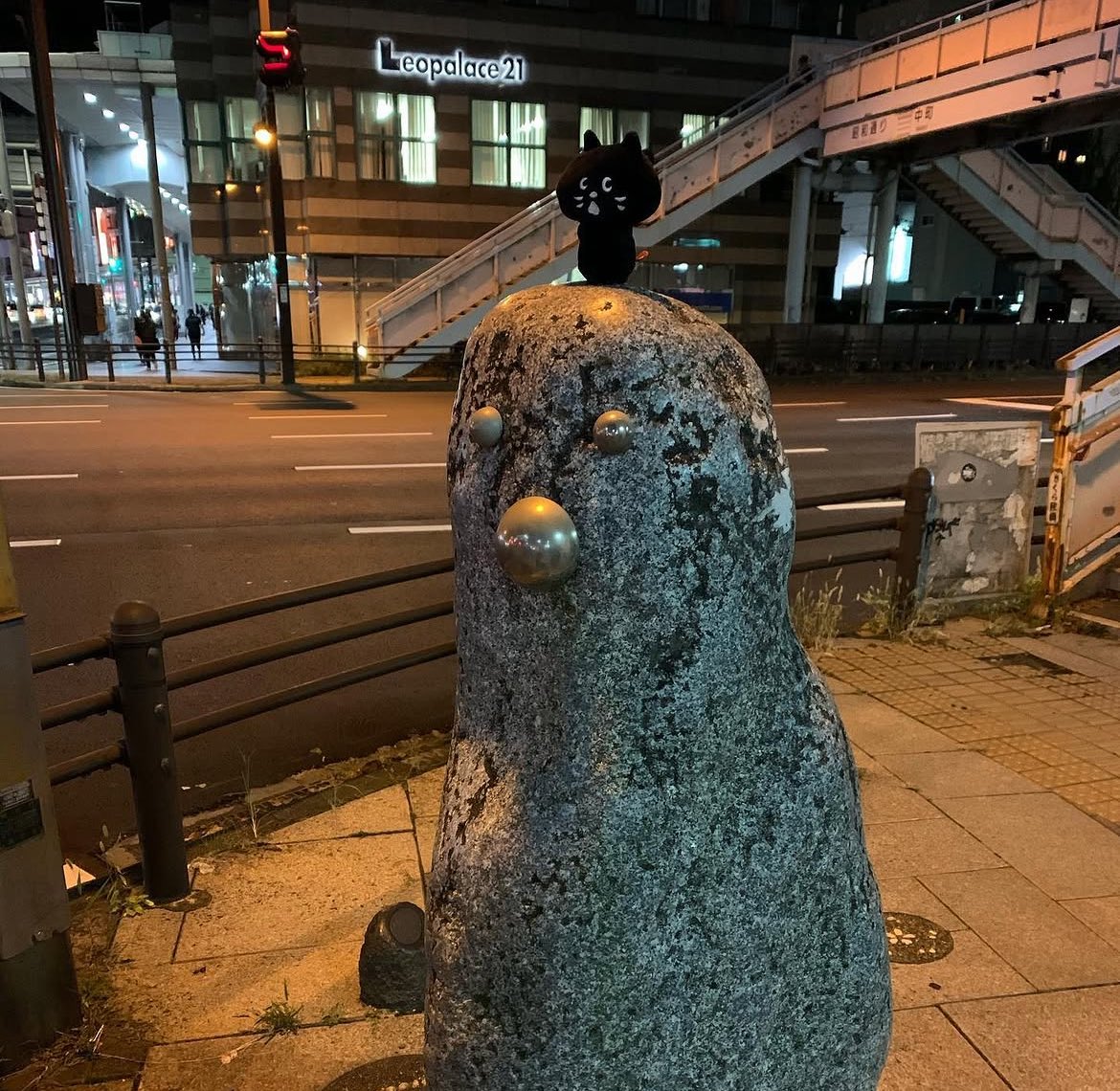 ひろみん( ຶ- ຶ )っ🍄‍🟫 tweet media