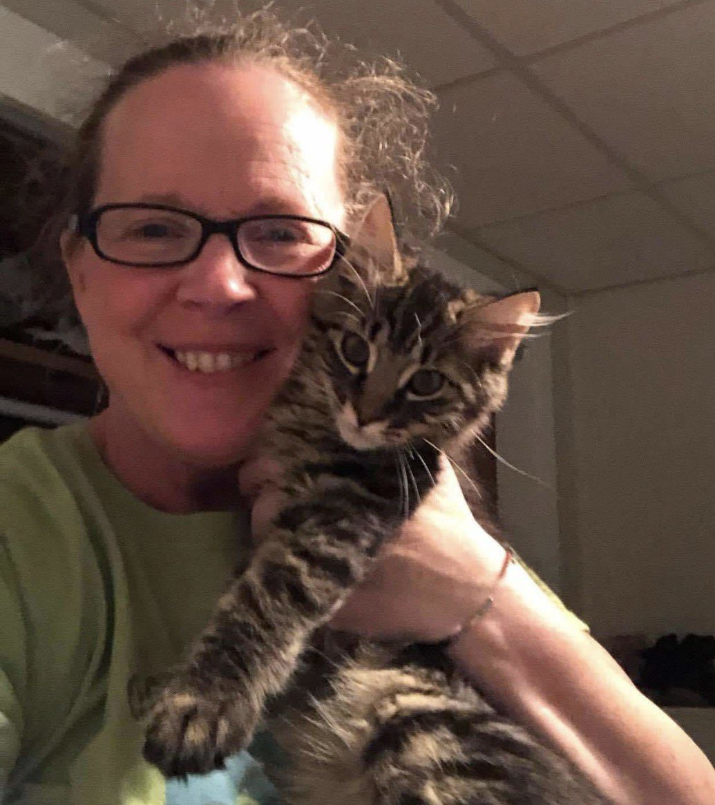 Libs of TikTok tweet media