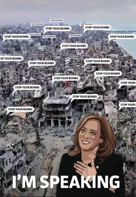 Noam Fan tweet media